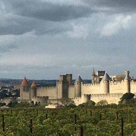 Apartmán Les Orchidees Carcassonne Exteriér fotografie