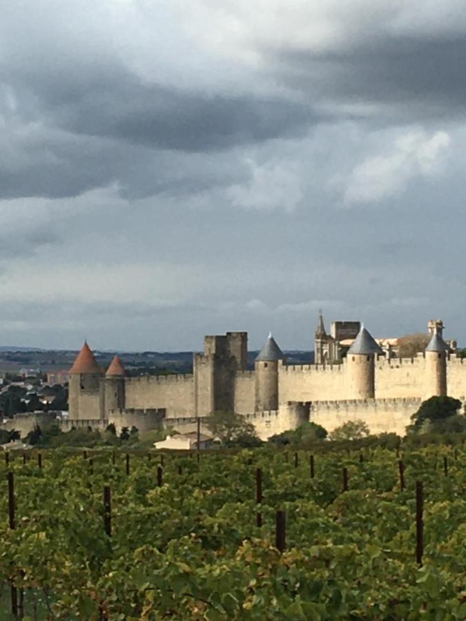 Apartmán Les Orchidees Carcassonne Exteriér fotografie